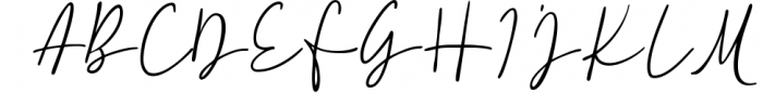 Fillerglad - Signature Font Font UPPERCASE
