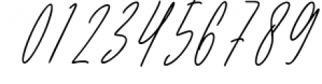 Fineshly Signature Font Font OTHER CHARS