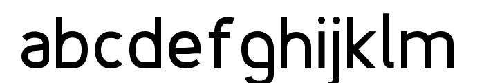 Fineness Pro Bold Font LOWERCASE