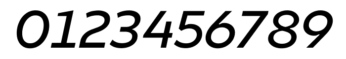 Finlandica Text Medium Italic Font OTHER CHARS