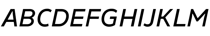 Finlandica Text Medium Italic Font UPPERCASE
