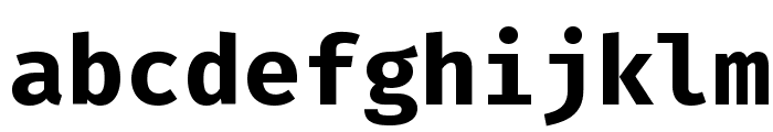 Fira Mono Bold Font LOWERCASE