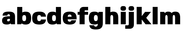 FivoSans-Black Font LOWERCASE