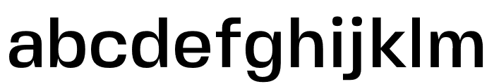 FivoSansModern-Medium Font LOWERCASE