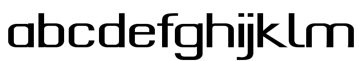 Findley-ExpandedBold Font LOWERCASE