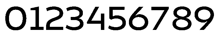 Finlandica Text 500 Font OTHER CHARS