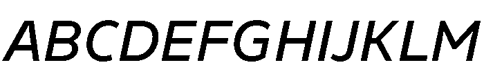 Finlandica Text 500italic Font UPPERCASE