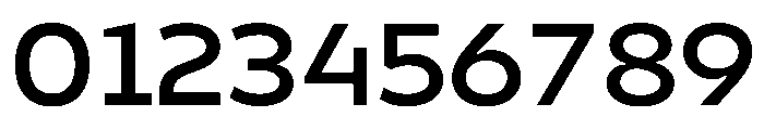 Finlandica Text 600 Font OTHER CHARS