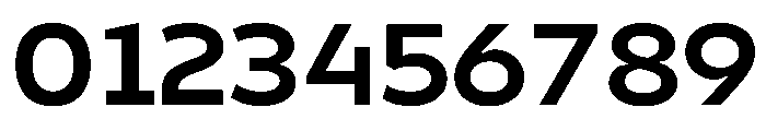 Finlandica Text 700 Font OTHER CHARS