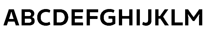 Finlandica Text 700 Font UPPERCASE