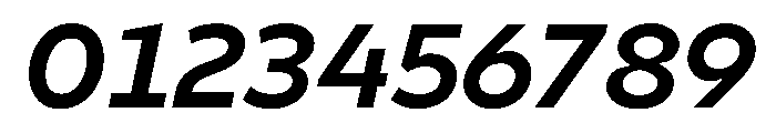 Finlandica Text 700italic Font OTHER CHARS