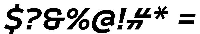 Finlandica Text 700italic Font OTHER CHARS