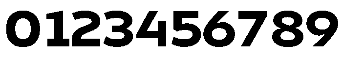 Finlandica Text 800 Font OTHER CHARS