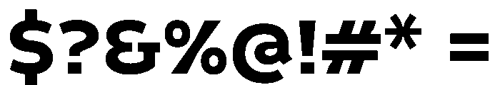 Finlandica Text 800 Font OTHER CHARS