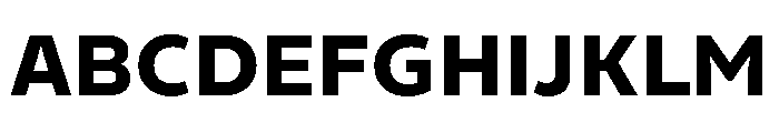Finlandica Text 800 Font UPPERCASE