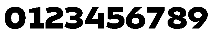 Finlandica Text 900 Font OTHER CHARS