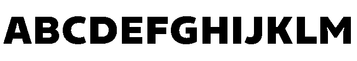Finlandica Text 900 Font UPPERCASE
