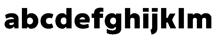 Finlandica Text 900 FONT