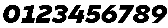 Finlandica Text 900italic Font OTHER CHARS