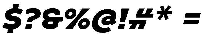 Finlandica Text 900italic Font OTHER CHARS