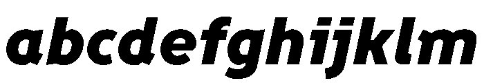Finlandica Text 900italic FONT