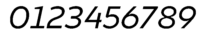 Finlandica Text Italic Font OTHER CHARS