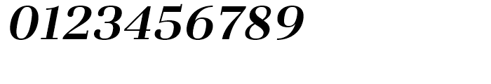 Fiorina Subhead Bold Italic Font OTHER CHARS