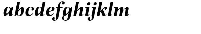 Fiorina Subhead Bold Italic Font LOWERCASE