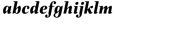 Fiorina Subhead Extra Bold Italic Font LOWERCASE