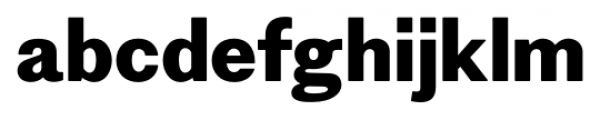 Figgins Sans Extra Bold Font LOWERCASE