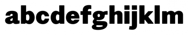 Figgins Standard Black Font LOWERCASE