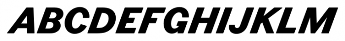 Figgins Standard Extra Bold Italic Font UPPERCASE