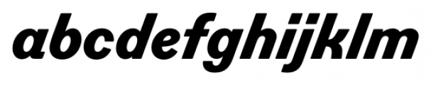 Figgins Standard Extra Bold Italic Font LOWERCASE