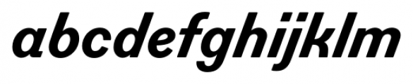 Figgins Standard Heavy Italic Font LOWERCASE