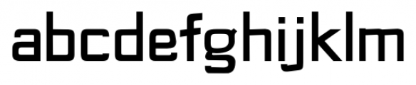 Fiscal Medium Font LOWERCASE