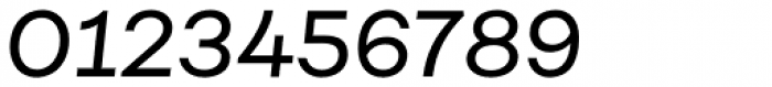 Fibra Alt Regular Italic Font OTHER CHARS