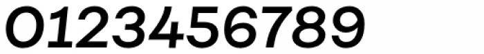 Fibra Alt Semi Bold Italic Font OTHER CHARS