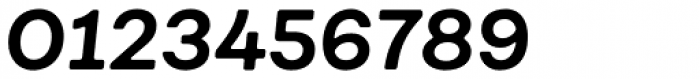 Fibra One Bold Italic Font OTHER CHARS