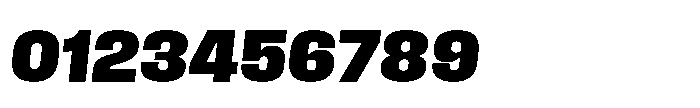 Field Gothic Standard Field Gothic No. 66 XBold Italic Font OTHER CHARS