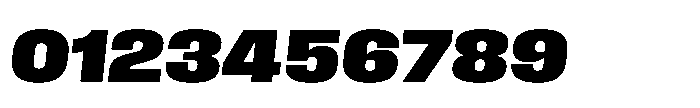 Field Gothic Wide No. 76 Wide XBold Italic Font OTHER CHARS