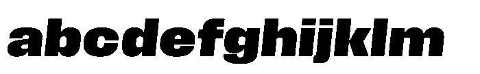 Field Gothic Wide No. 76 Wide XBold Italic FONT