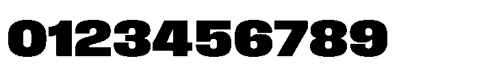 Field Gothic Wide No. 76 Wide XBold Font OTHER CHARS