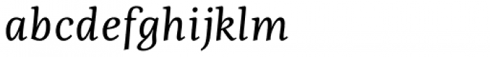Fiesole Caption Italic Font LOWERCASE
