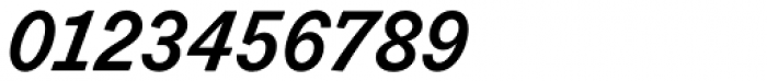 Figgins Standard Bold Italic Font OTHER CHARS