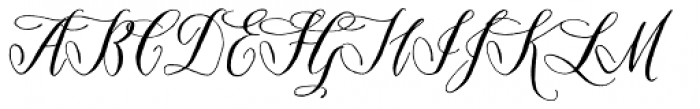 Filet Script Font UPPERCASE