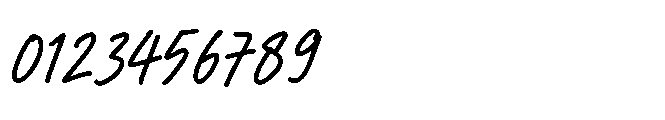 Fine Checklist Bold Font OTHER CHARS