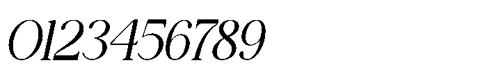 Fiorena Italic Font OTHER CHARS