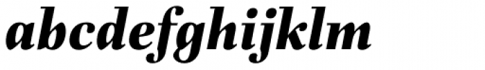 Fiorina Subhead Extra Bold Italic Font LOWERCASE