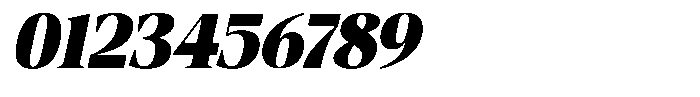 Fitgad Black Italic Font OTHER CHARS