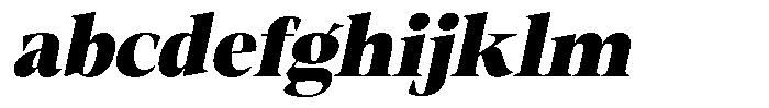 Fitgad Black Italic FONT